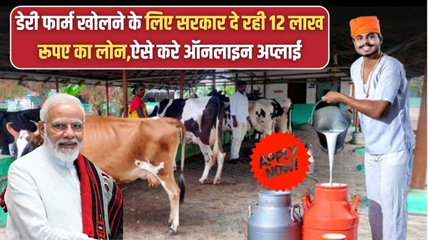 Dairy Farm Apply Scheme