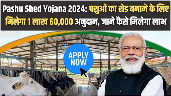 Pashu Shed Yojana 2024