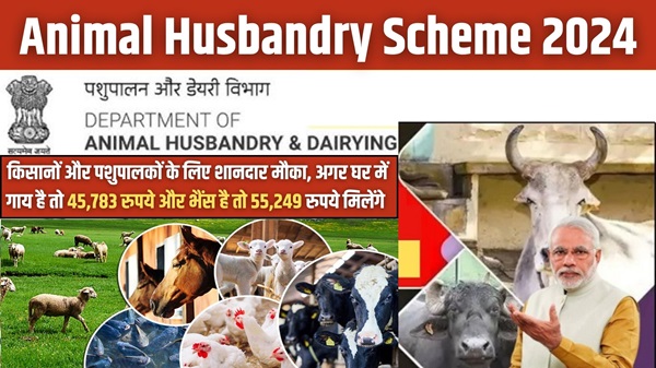 Apply Animal Husbandry Scheme