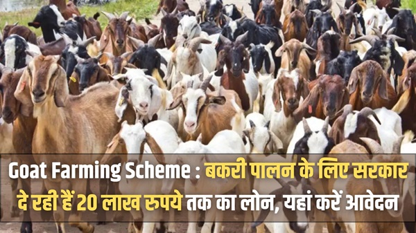 Goat Farming Scheme Apply