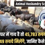 Apply Animal Husbandry Scheme