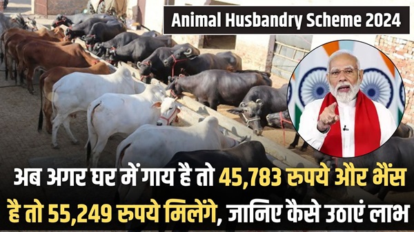 Apply Animal Husbandry Scheme