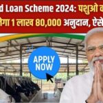 Pashu Shed Loan Scheme