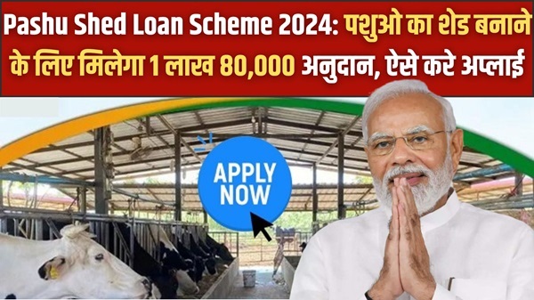 Pashu Shed Loan Scheme